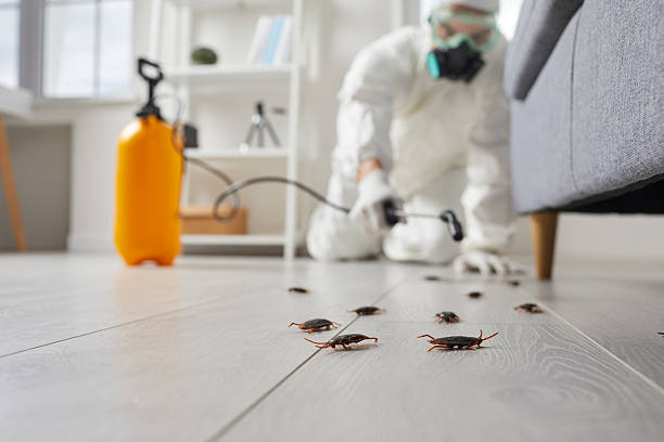 Commercial Kitchen Cockroach Control in Logansport